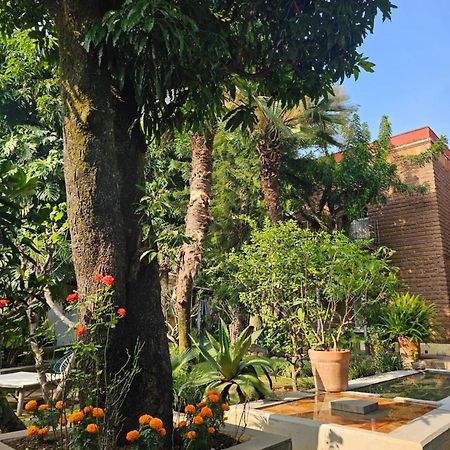 ホテル Casa Limon マリナルコ エクステリア 写真