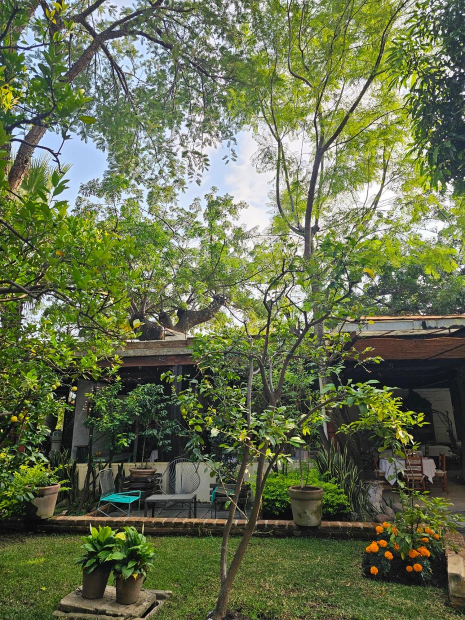 ホテル Casa Limon マリナルコ エクステリア 写真